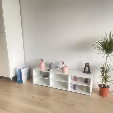 Chambre Spacieuse Et Cosy Dans Le Centre De Nantes