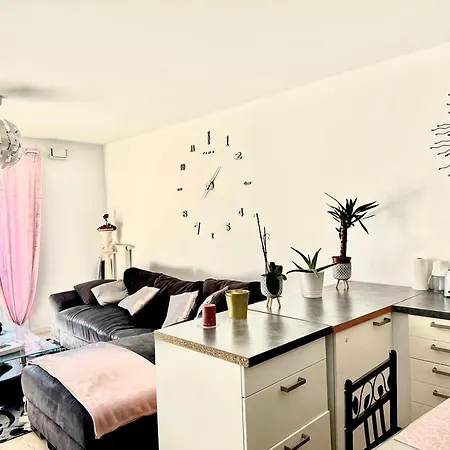 Chambre Spacieuse Et Cosy Dans Le Centre De *